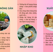 Phần mềm quản lý kho nông sản