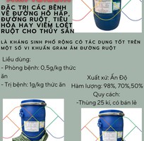 Ampicillin nguyên liệu sản xuất t h u ố c thuỷ sản