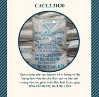 2 Canxi Chlorua bột nguyên liệu dùng trong nuôi trồng thuỷ sản