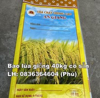 5 Bao bì lúa giống đẹp chất lượng xuất khẩu