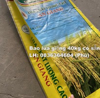 1 Bao bì lúa giống đẹp chất lượng xuất khẩu