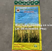 2 Bao bì lúa giống đẹp chất lượng xuất khẩu