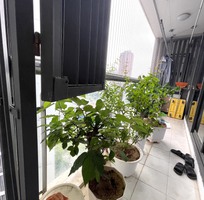 736 Cần tìm việc làm giúp việc