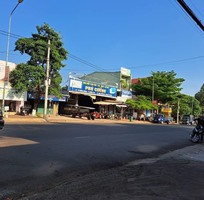 250 Cần tìm việc làm giúp việc
