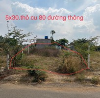 425 Cần tìm việc làm giúp việc