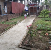 1758 Cần tìm việc làm giúp việc