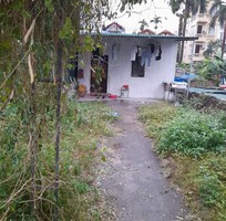 1761 Cần tìm việc làm giúp việc