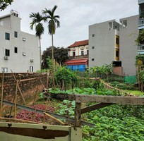 1820 Cần tìm việc làm giúp việc