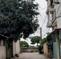 1490 Cần tìm việc làm giúp việc