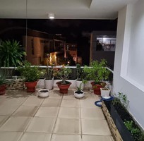 1838 Cần tìm việc làm giúp việc