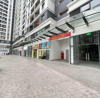 2060 Cần tìm việc làm giúp việc