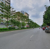 1501 Cần tìm việc làm giúp việc