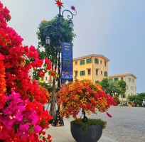 1834 Cần tìm việc làm giúp việc