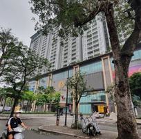 1856 Cần tìm việc làm giúp việc