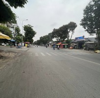 1751 Cần tìm việc làm giúp việc
