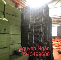 1545 Cần tìm việc làm giúp việc