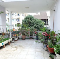 1250 Cần tìm việc làm giúp việc