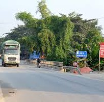 1436 Cần tìm việc làm giúp việc