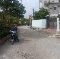1656 Cần tìm việc làm giúp việc