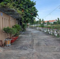 2081 Cần tìm việc làm giúp việc