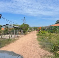 1371 Cần tìm việc làm giúp việc