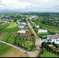 1319 Cần tìm việc làm giúp việc