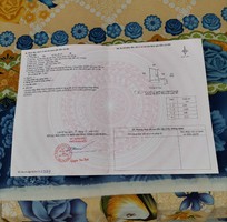 1442 Cần tìm việc làm giúp việc
