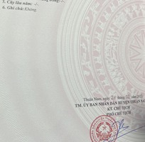 1445 Cần tìm việc làm giúp việc
