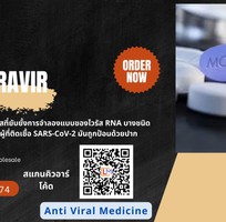 Buy Generic Molnupiravir 200mg Capsules at Wholesale Price in Thailand