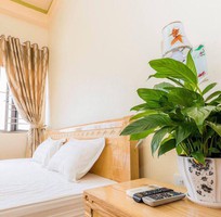 1 Hotel Cô Tô, Homestay Cô Tô