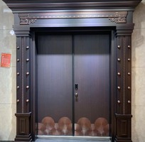9 Cửa Thép Vân Gỗ Giá Rẻ
