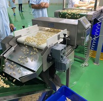 1 Máy Dò Kim Loại Hạt Điều Chưa Đóng Gói