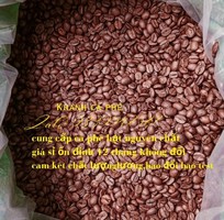 Cung cấp cà phê pha máy tại Kiên Giang, giá sỉ loại 1