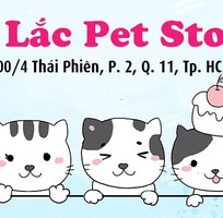 Lí Lắc Pet Store - Shop thú cưng quận 11