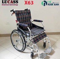 2 Cho thuê xe lăn du lịch, khám bệnh, biểu diễn