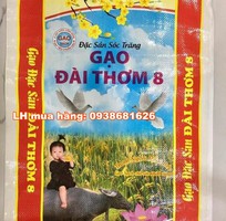 1 Cung cấp bao đựng gạo in sẵn cho mùa lễ phật đản, giảm giá 10