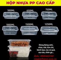 Hộp nhựa đựng thực phẩm chữ nhật 1000ml giá sỉ