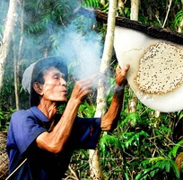 Mật ong rừng ở Đà Nẵng - Quà tặng từ thiên nhiên