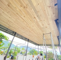 Bán gỗ Decor, gỗ thông Pallet Mỹ tại Đà Nẵng