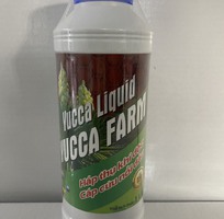 Yucca Farm Chai 1L