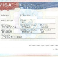 Dịch vụ làm visa nhập cảnh các nước tỷ lệ đậu 99