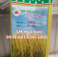 Bao đựng lúa giống OM18 có sẵn, miễn phí trục in