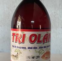 Tri Olan