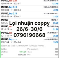 Bot trade vàng cặp tiền kiếm lợi nhuận thụ động 20/tháng