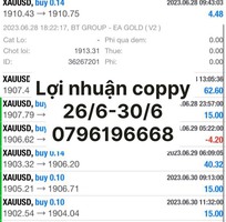 1 Bot trade vàng cặp tiền kiếm lợi nhuận thụ động 20/tháng