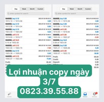 1 Lợi nhuận copy ngày 3/7 1 Lợi nhuận copy ngày 3/7