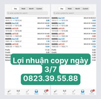 2 Lợi nhuận copy ngày 3/7 2 Lợi nhuận copy ngày 3/7