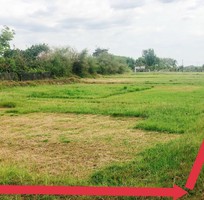 426 Shop cần nam nữ phụ bán hàng