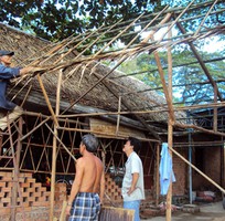 1 Bán lá dừa nước, lá lợp nhà, lá lợp quán cà phê, lá lợp quán ăn, lá lợp nhà hàng, lá lợp resort