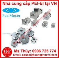 Động cơ DC không chổi than PEI-EI cung cấp tại viêt nam